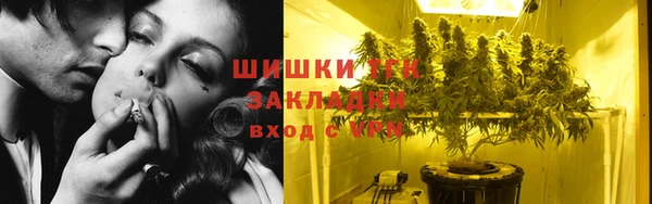 ПСИЛОЦИБИНОВЫЕ ГРИБЫ Баксан