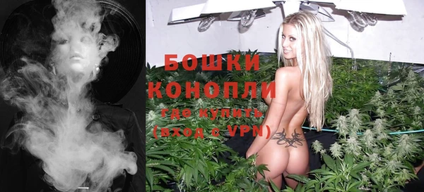 ПСИЛОЦИБИНОВЫЕ ГРИБЫ Баксан
